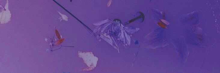 solcasajus's profile banner image