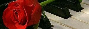 mayer_doi's profile banner image