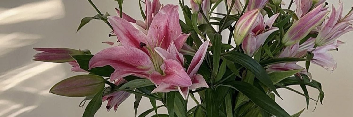 Alhazzaani's profile banner image