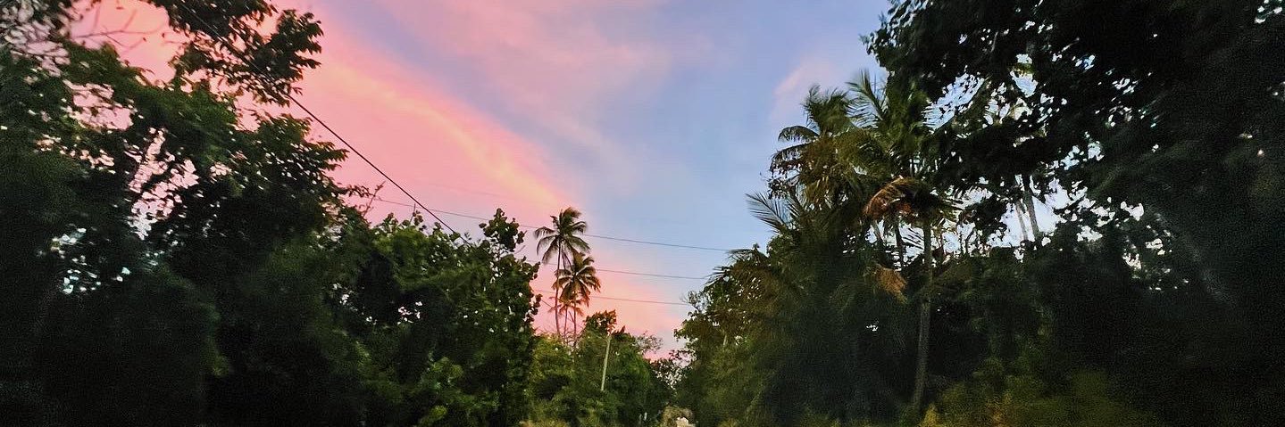 astridluv_'s profile banner image