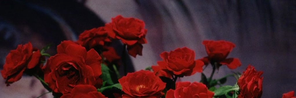 AaronMayer7's profile banner image