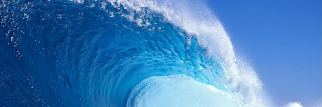 sharkbitejeff's profile banner image