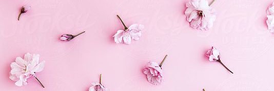 giuli_ATL's profile banner image