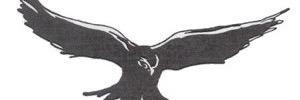 NB_HOSA's profile banner image