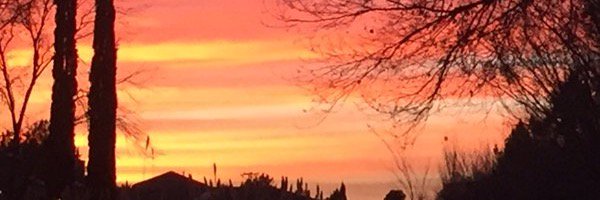 HTPDonna's profile banner image