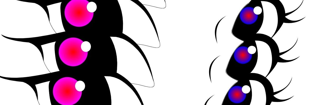 marquisedesignz's profile banner image