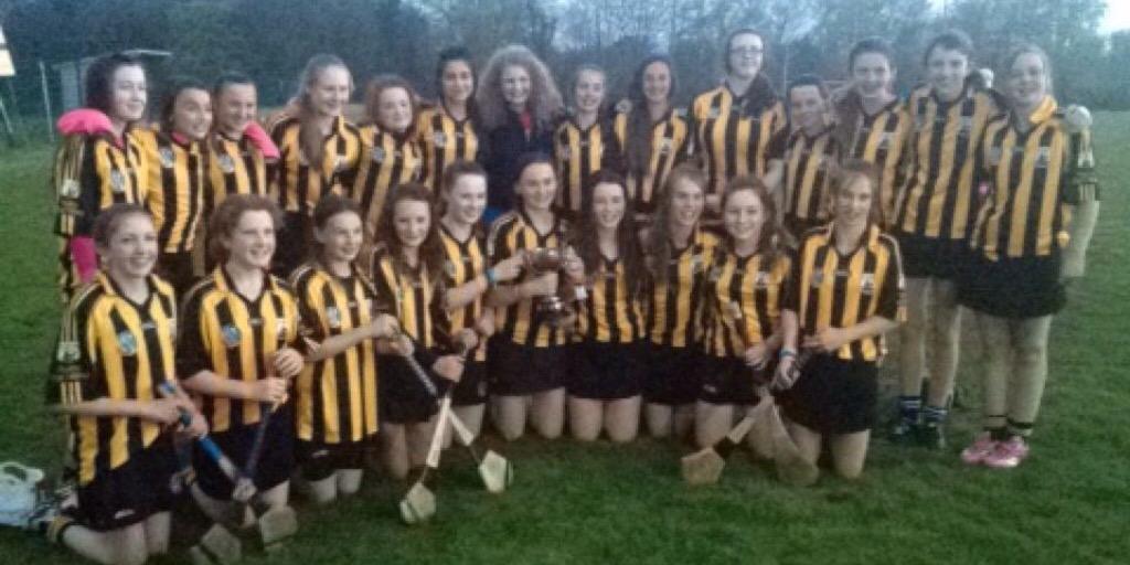 scariff-ogonnelloe banner