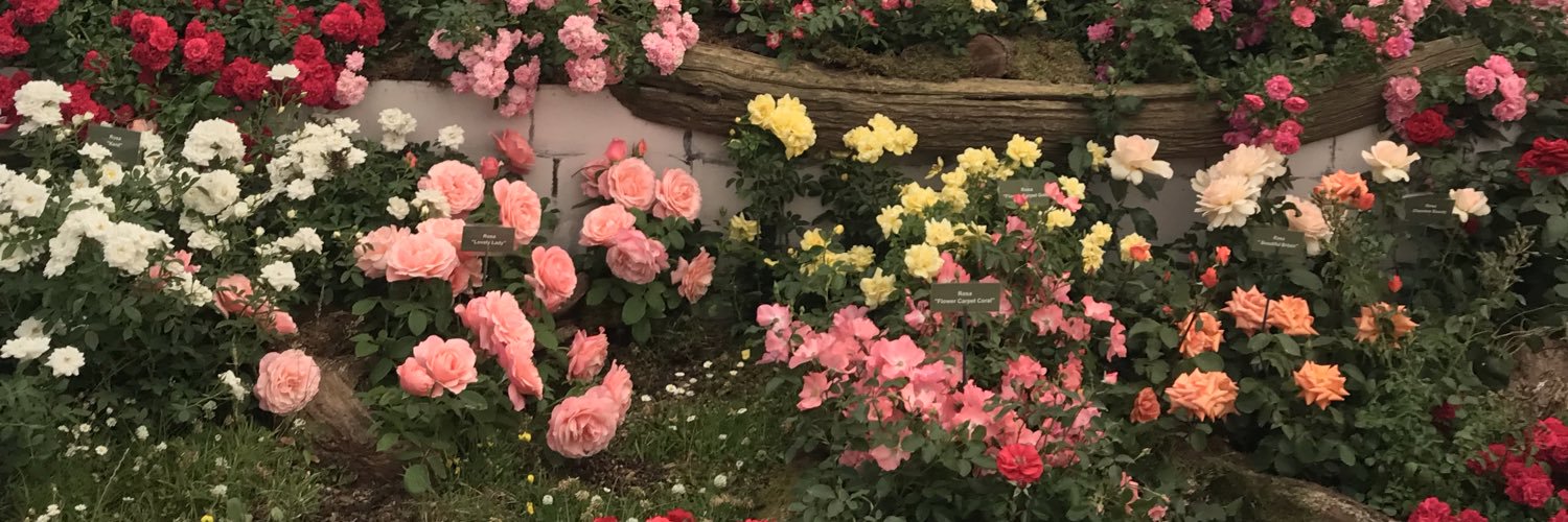 Helen Clarkson-Fieldsend banner