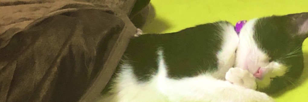 owTAMAwo's profile banner image