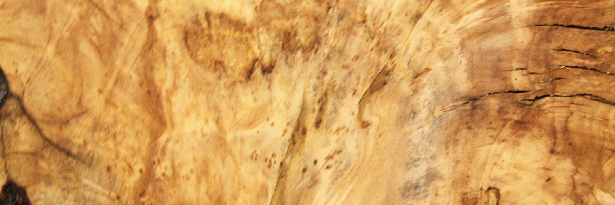 pete cape banner