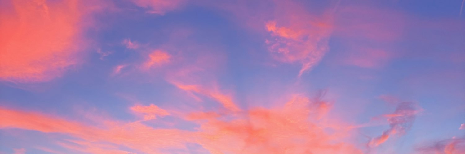 ameliaaaavid's profile banner image