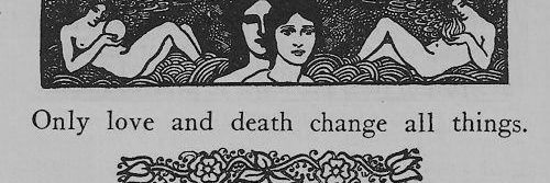 busrasaydut's profile banner image