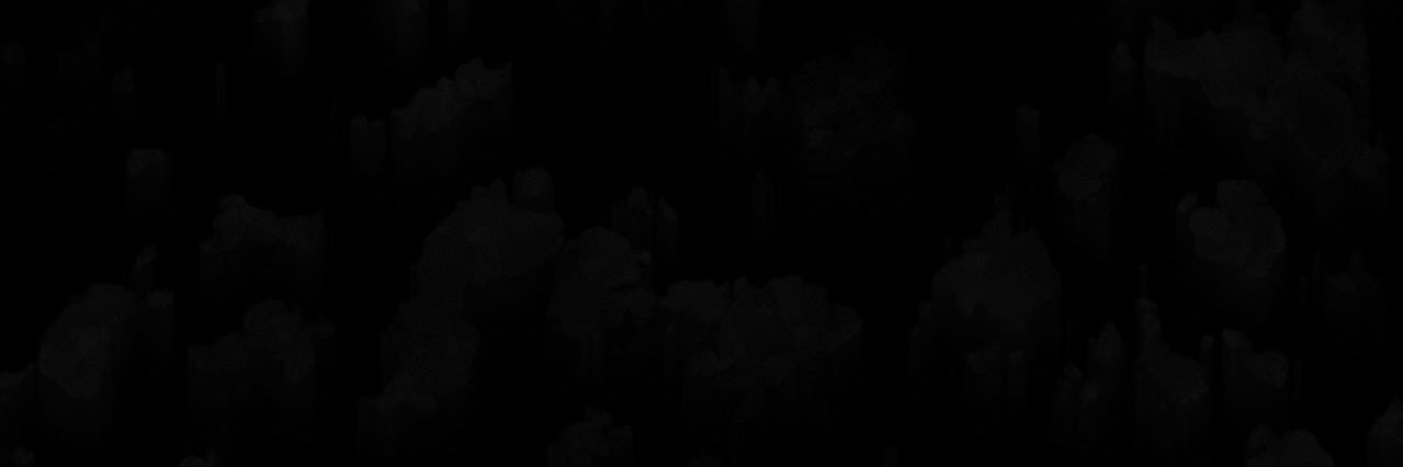 softieforjikook's profile banner image