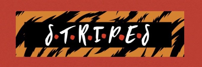 StripesThs's profile banner image