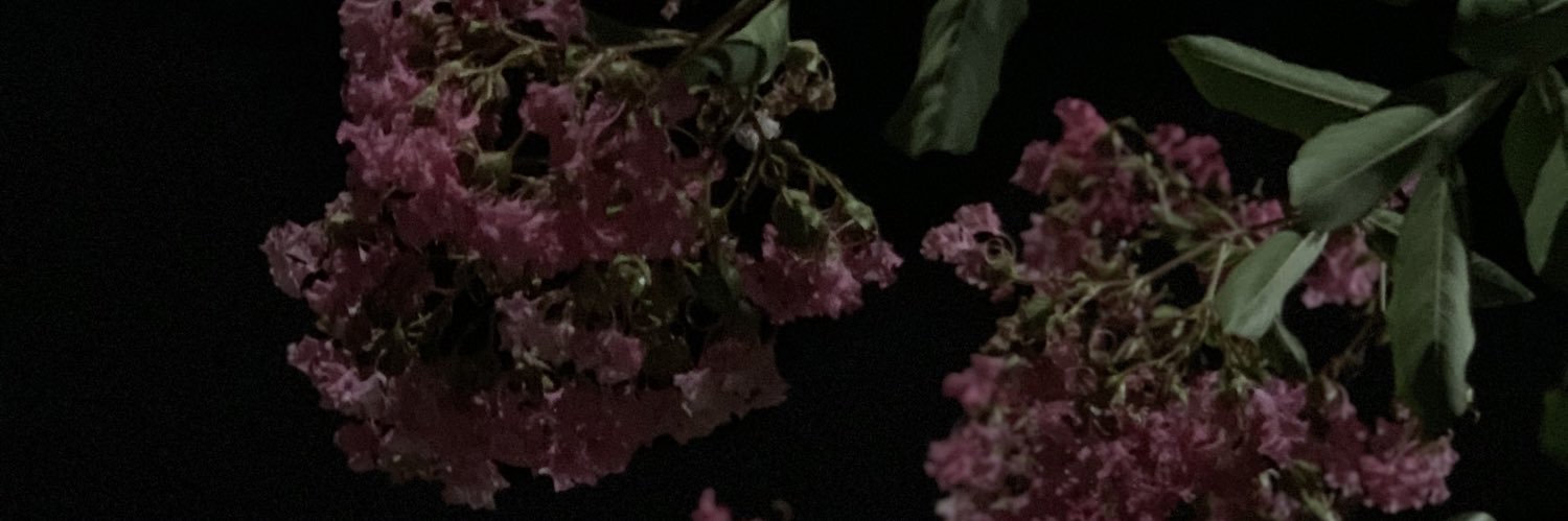 aintmaddyboutit's profile banner image