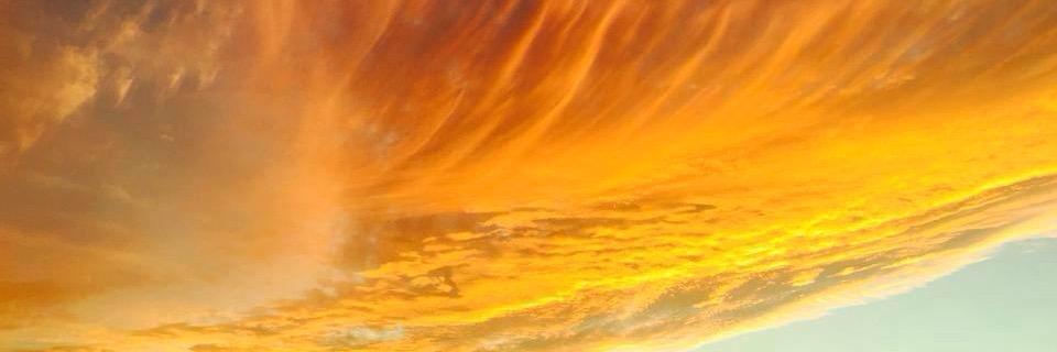 lexicuti's profile banner image