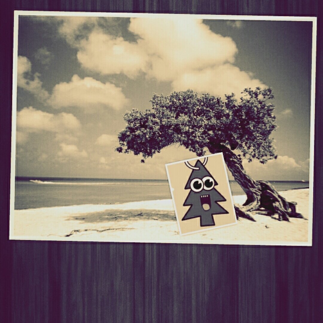 IsaArbol's profile banner image