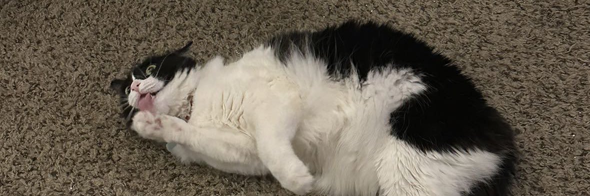 NeilLeslieNBA's profile banner image