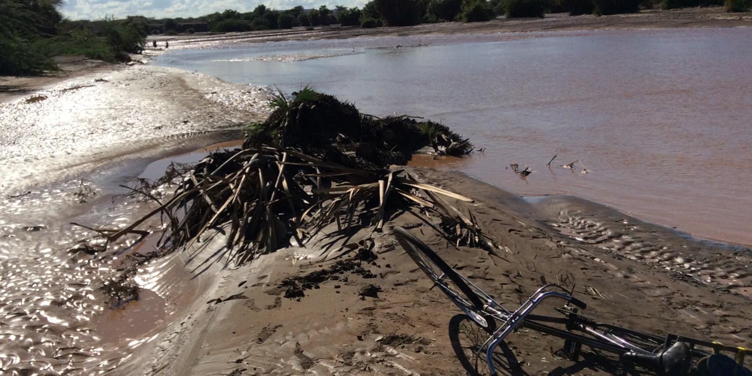 Lynnette Micheni banner