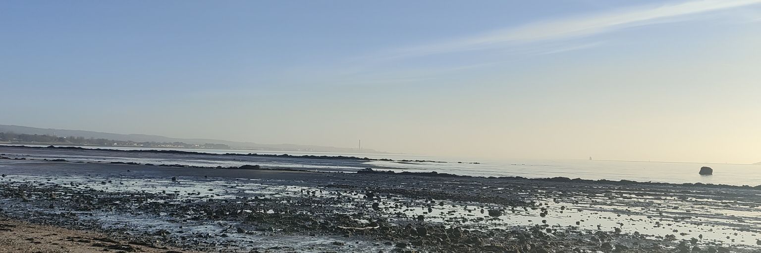 Donnamarie Higgins banner