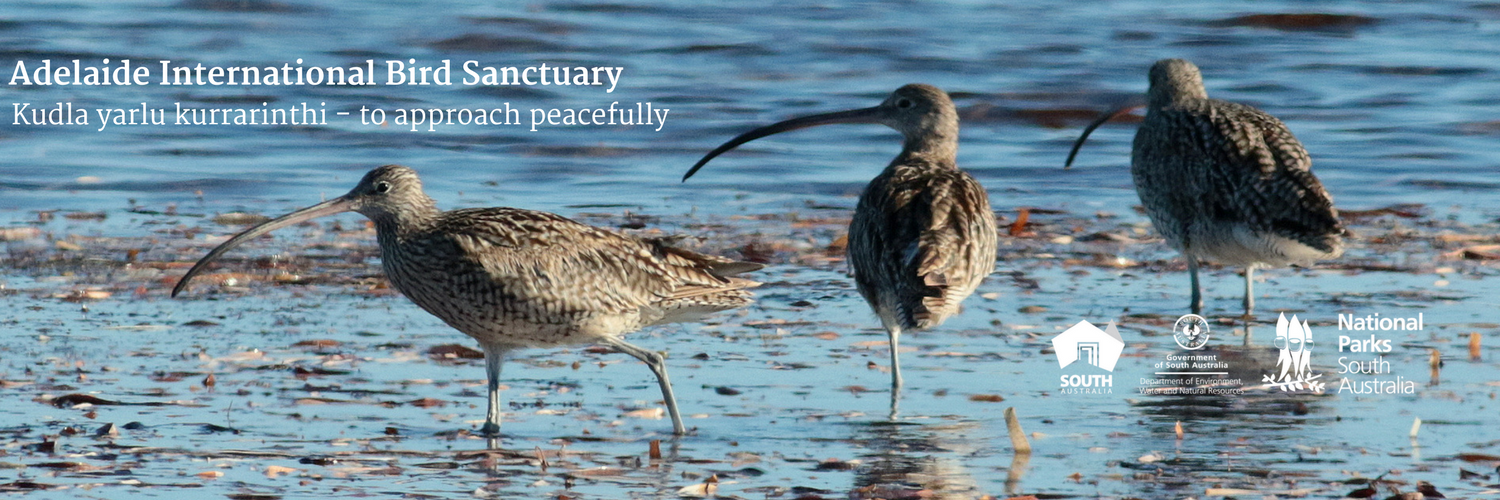 BirdSanctuarySA's profile banner image