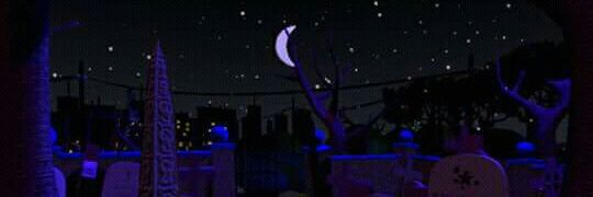 despot 🇹🇷 banner