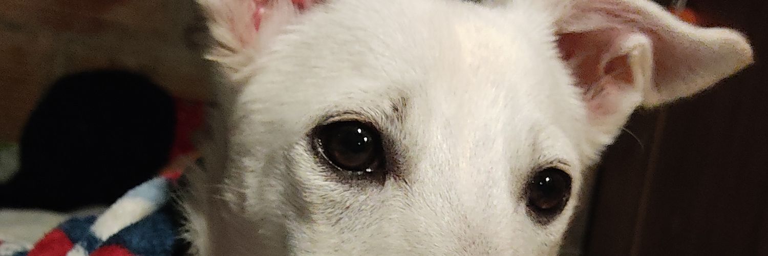 Aleja9767's profile banner image