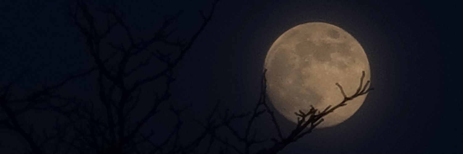 ItsFxtimx's profile banner image