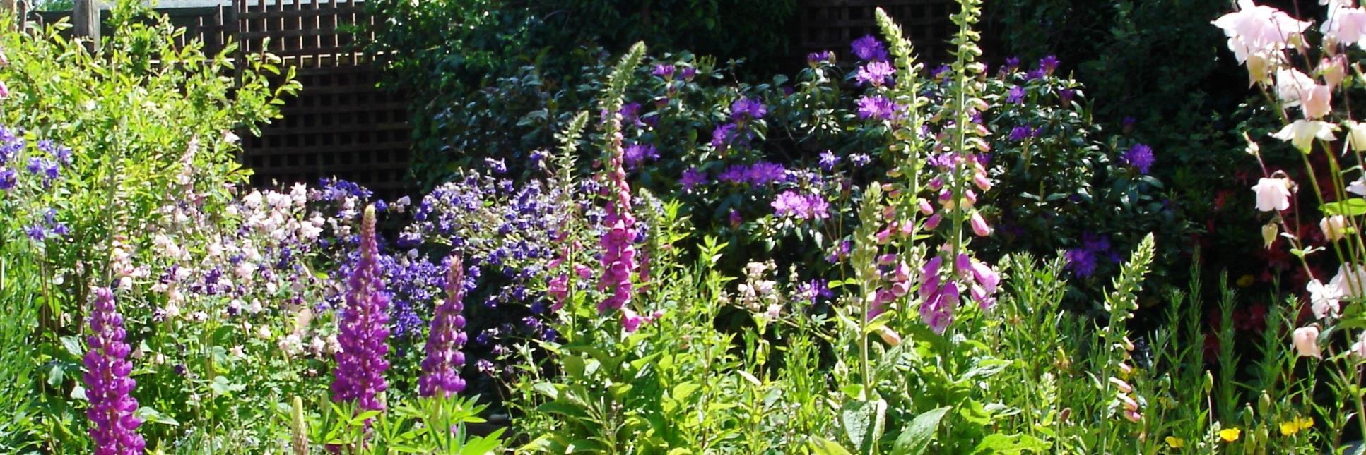 Lorette Porter banner