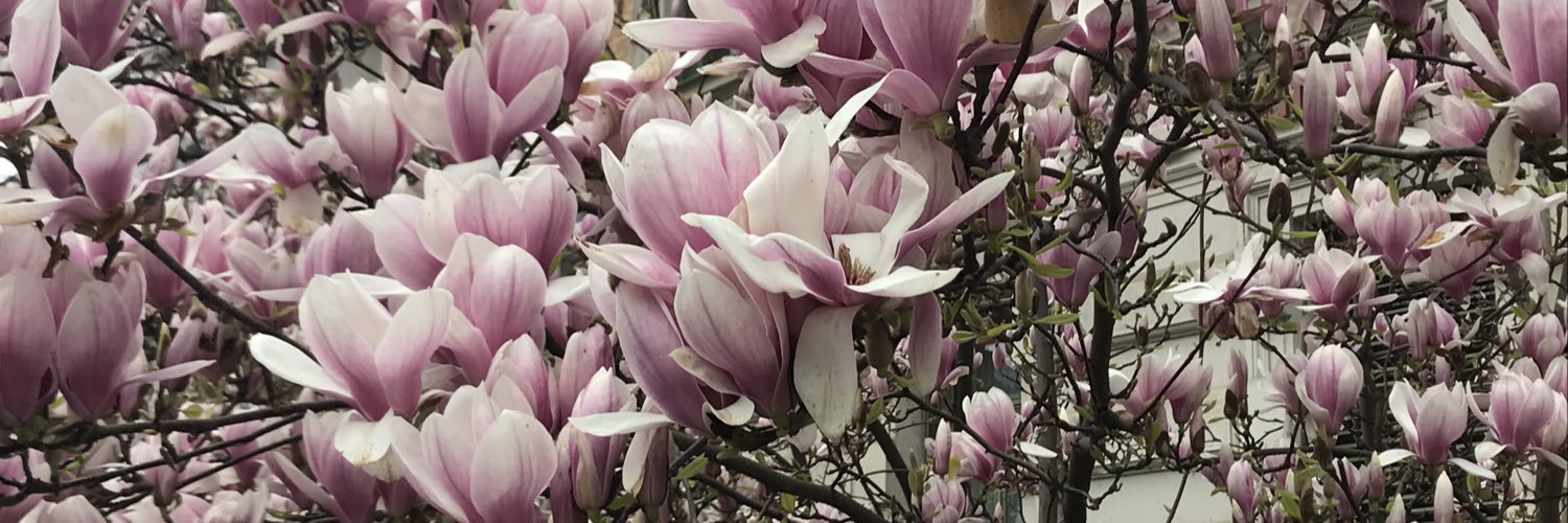 Alena van Bömmel banner