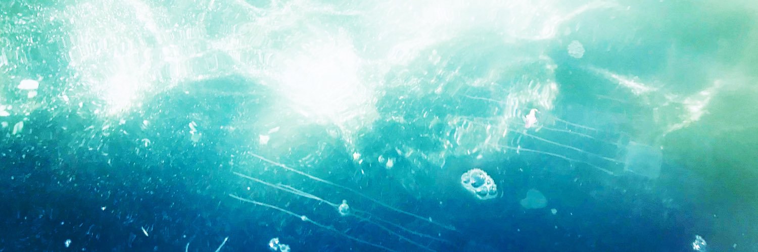 KittiwakeCat's profile banner image