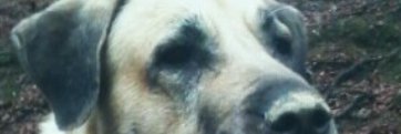 lorrrda's profile banner image