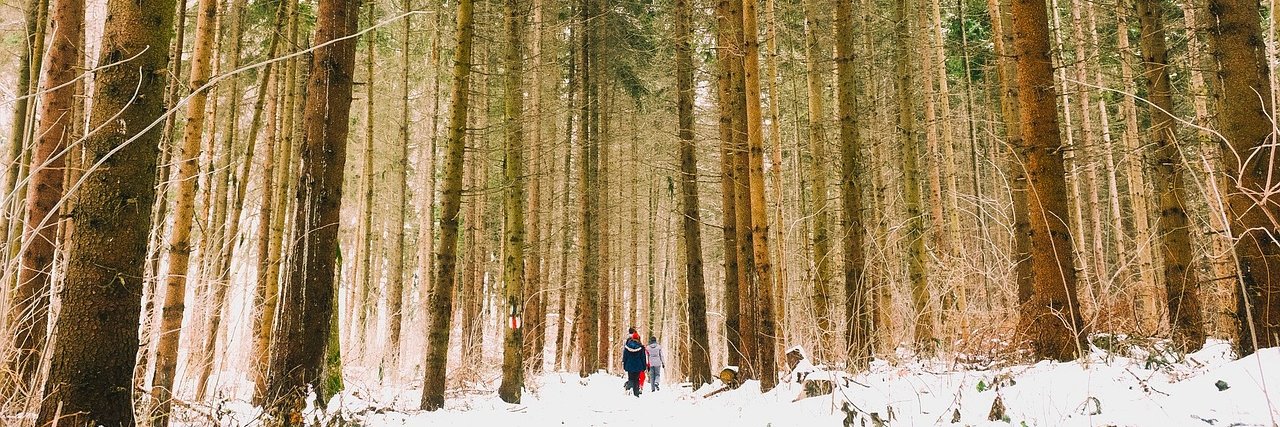 CCE Seneca County banner