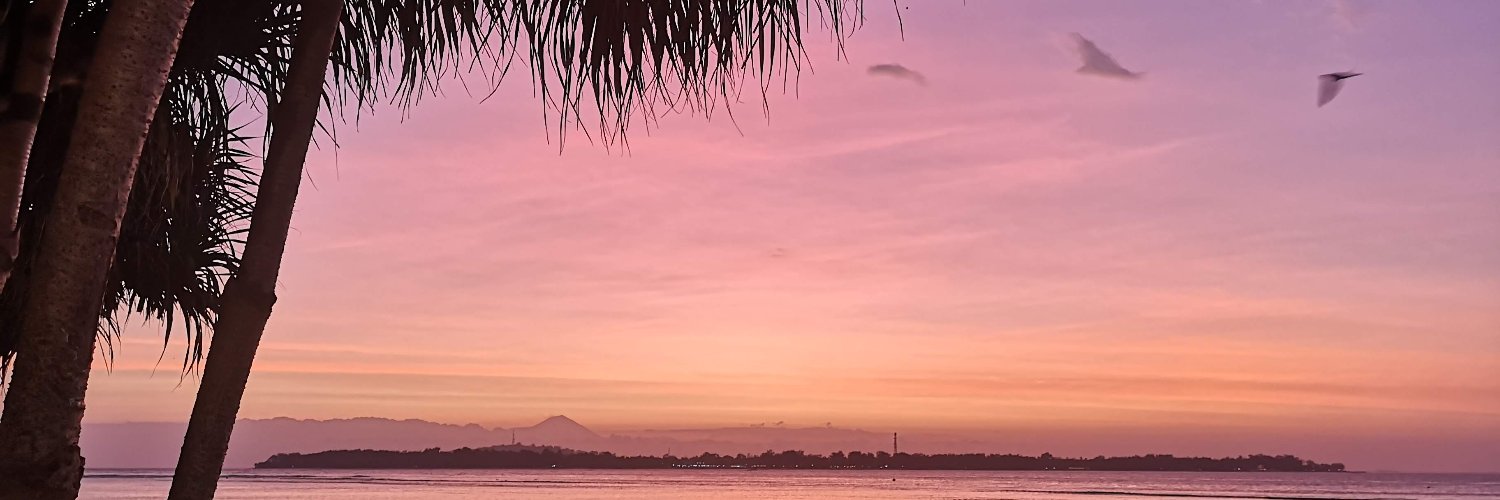 Nerea Alfonso banner