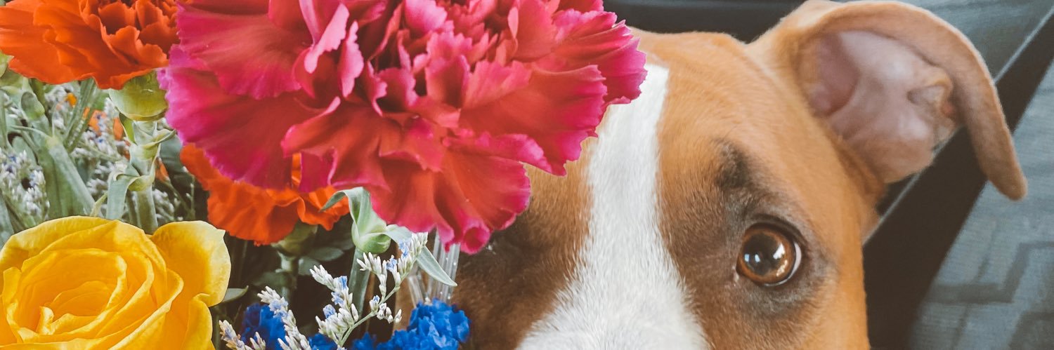 jaydenlynly's profile banner image