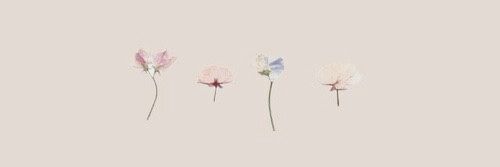 thin_desires_'s profile banner image