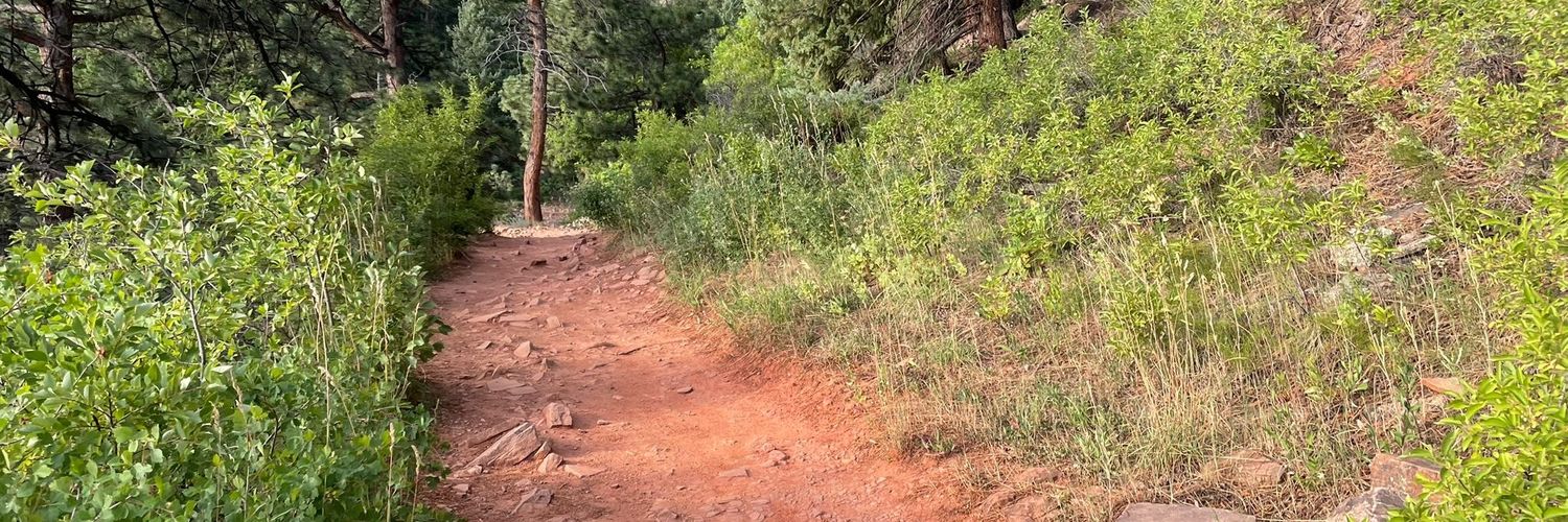 Staglpharm's profile banner image