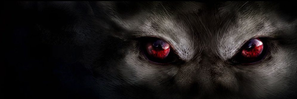 suguizera's profile banner image
