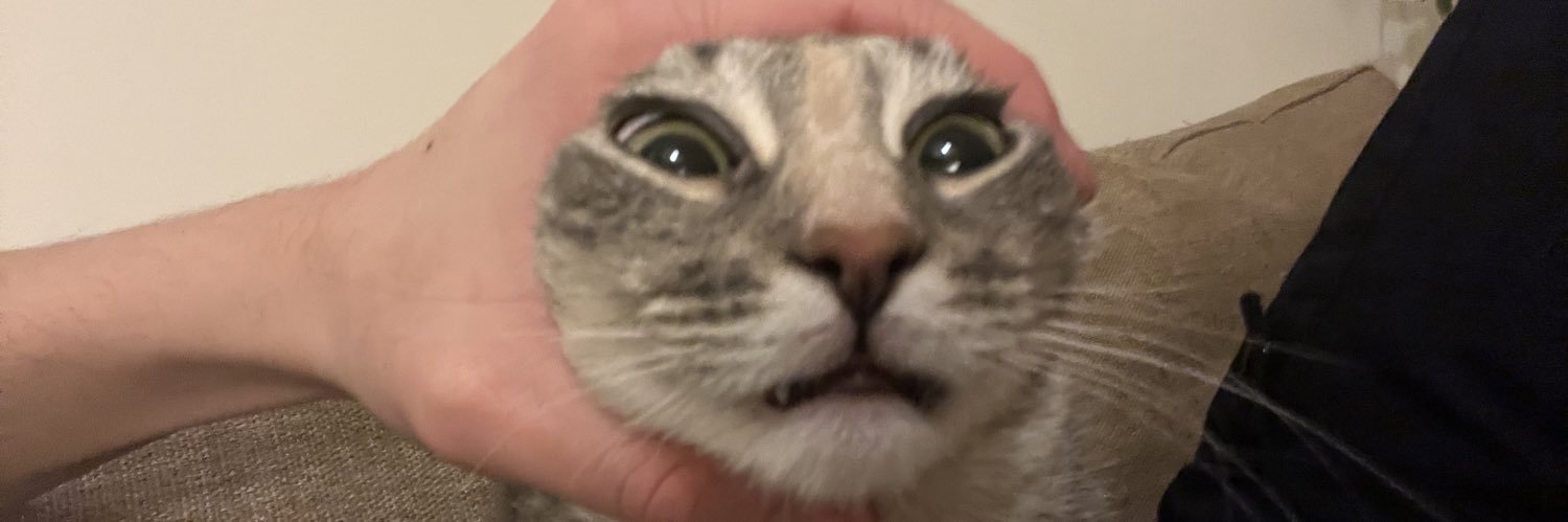Wekims's profile banner image