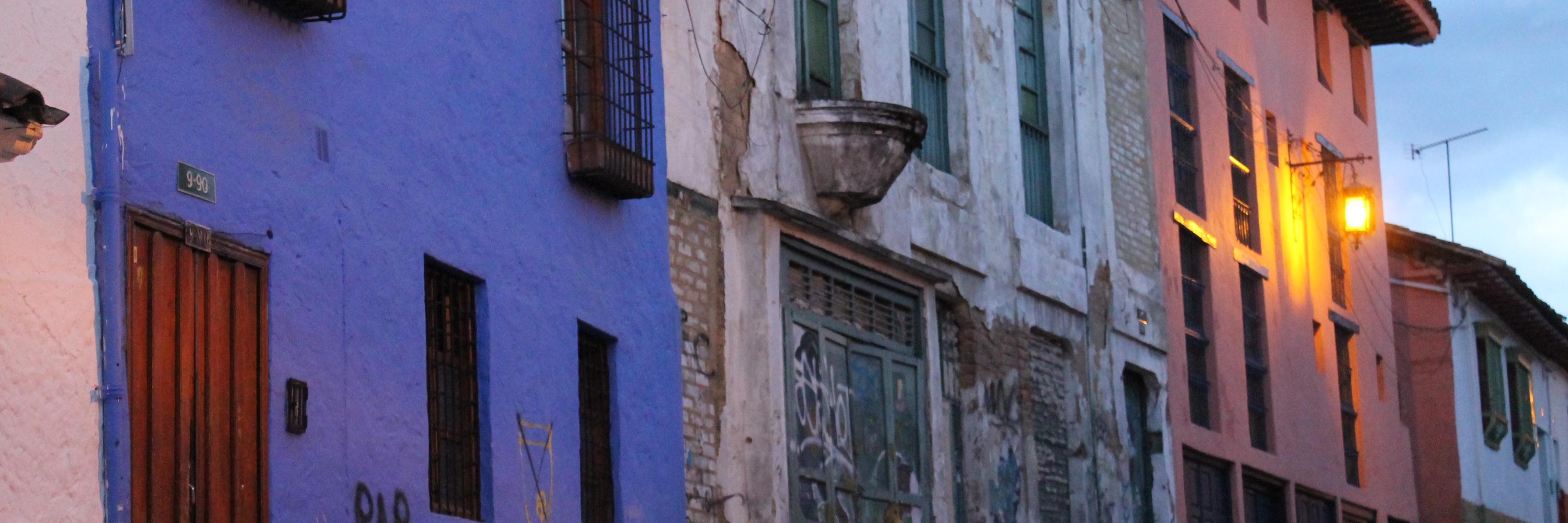 Daniela Savid banner