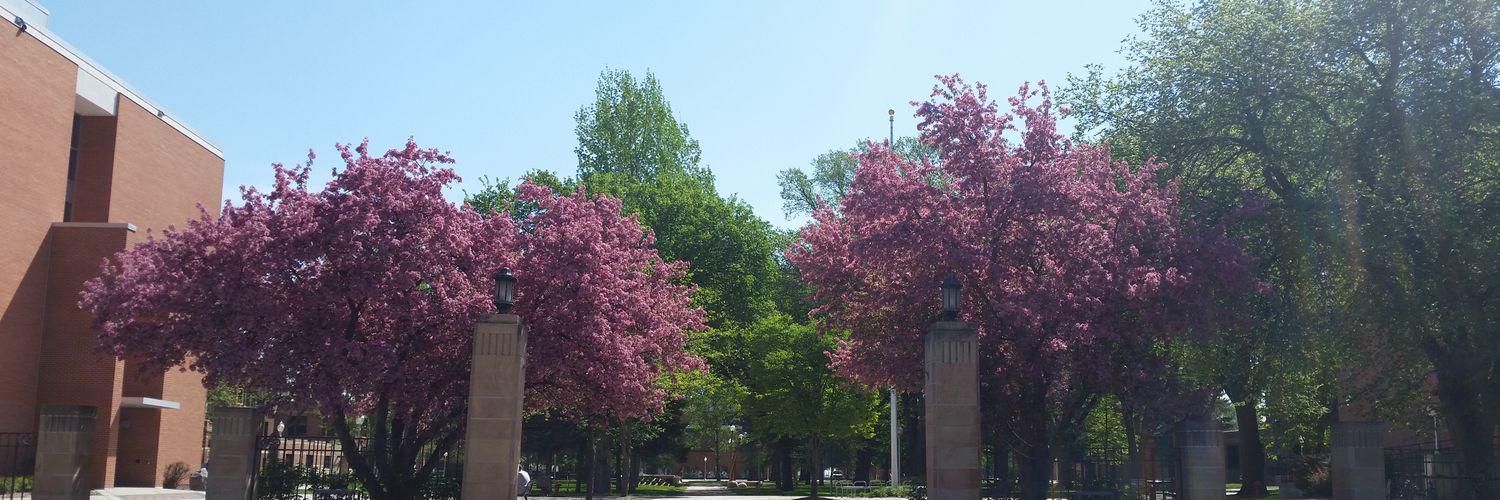 MSUM Community Engagement banner