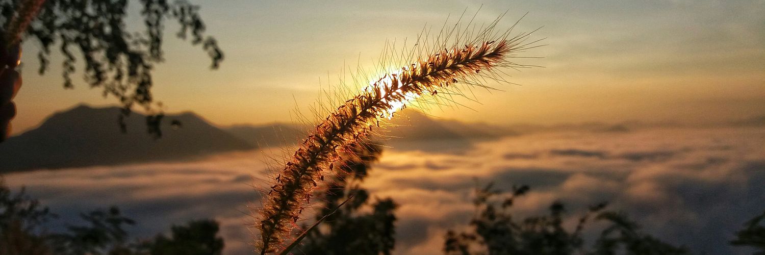 katy_ktae's profile banner image
