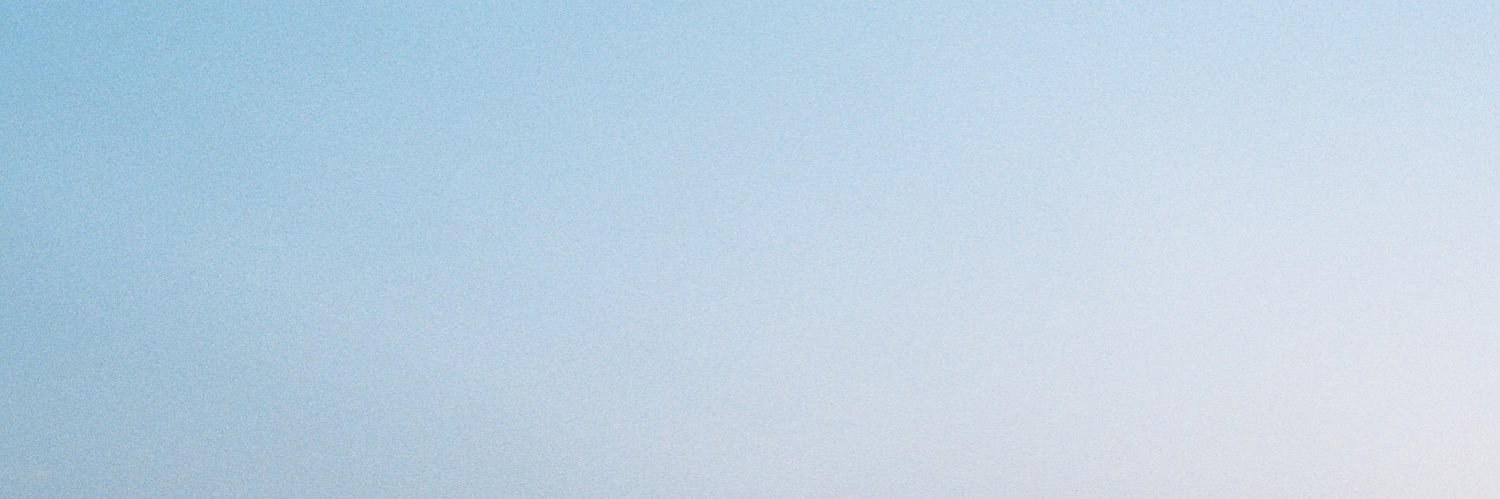 Chiara Parravicini banner