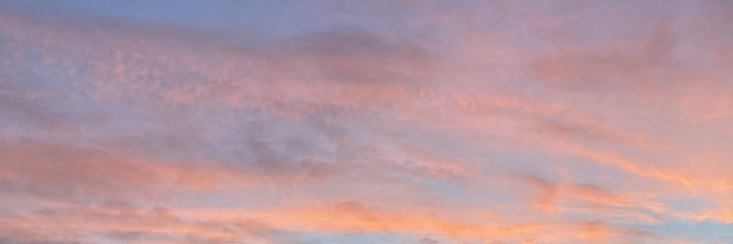 chloe banner
