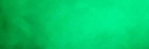 nitchgrassi's profile banner image