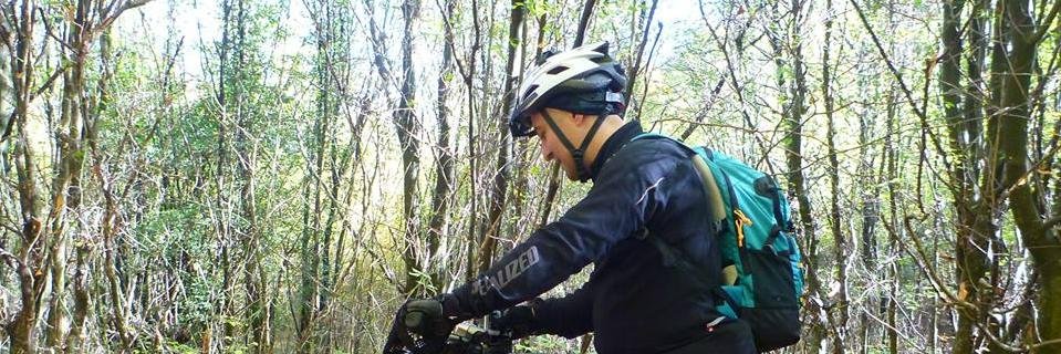 soner_koca's profile banner image
