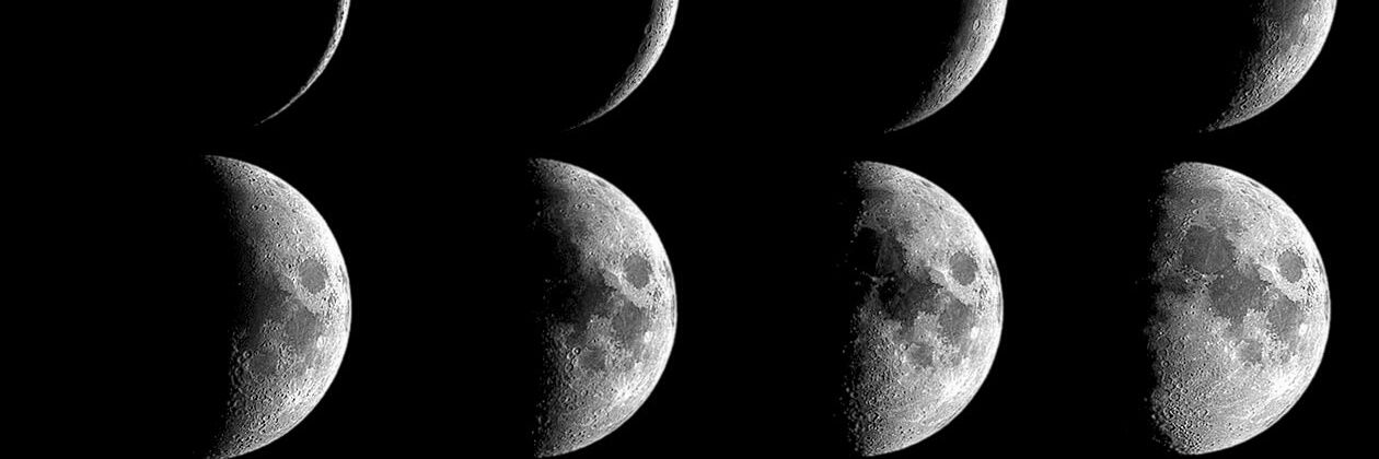 carpedixiexxx's profile banner image