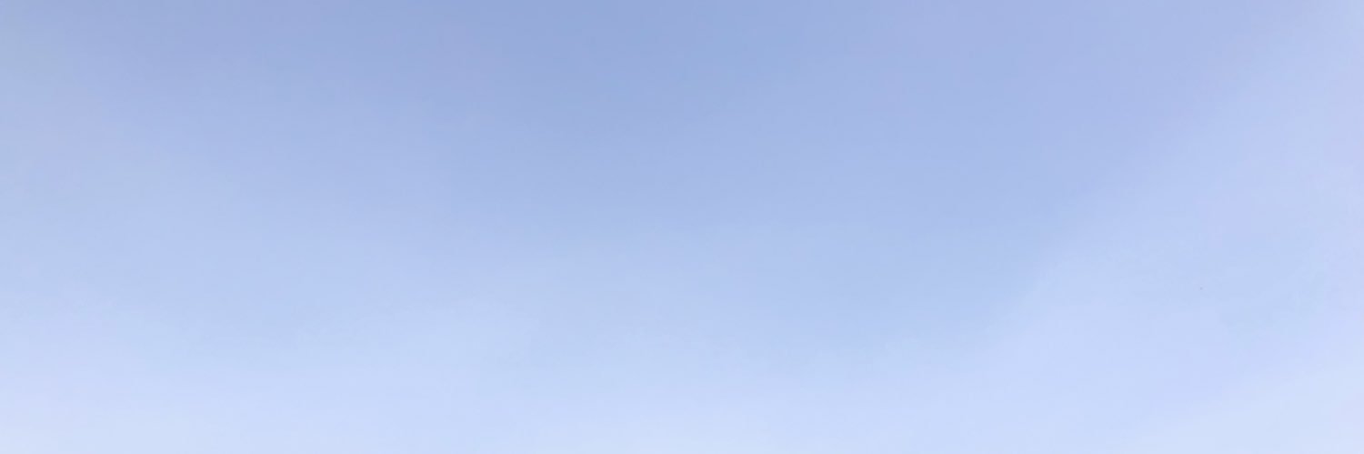 crazyflylily's profile banner image