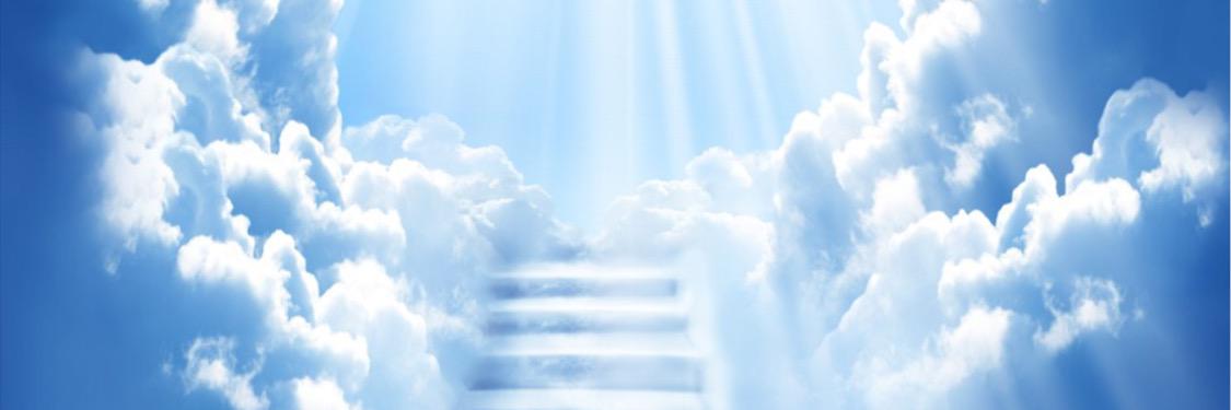 Andre_Zuba's profile banner image