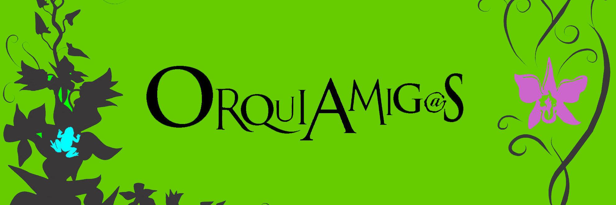OrquiAmigos's profile banner image